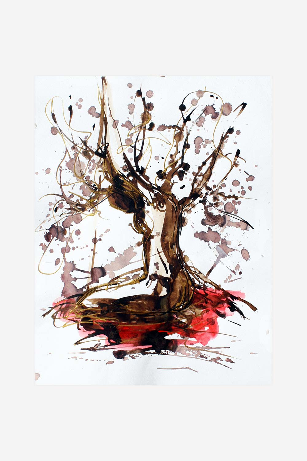 De la terre à l'arôme N°57